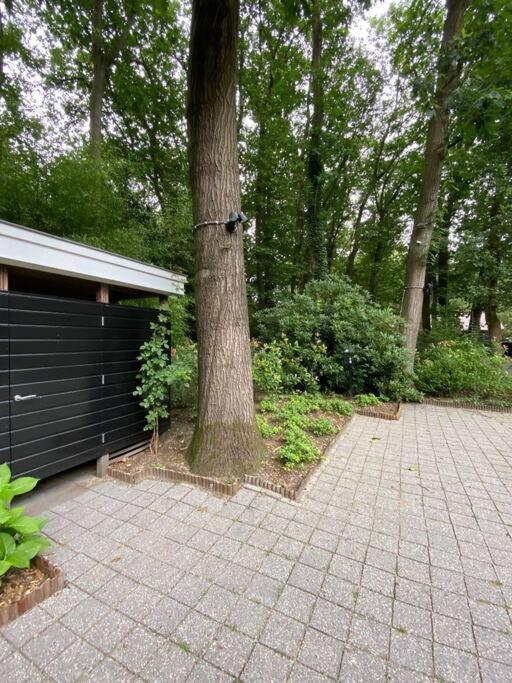 Duinhoek: Luxe Studio, Prachtig En Rustig Gelegen Zeist Exteriér fotografie